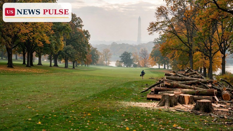 Una jueza bloquea la reforma del campo de golf de Trump tras talar 400 árboles